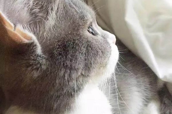 �һ�����16����Ƭ ���ݵ��趼����ʶ�˰�