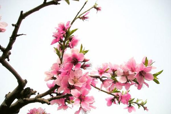 �һ�����16����Ƭ ���ݵ��趼����ʶ�˰�