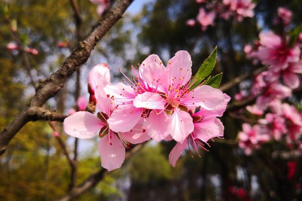 �һ�����16����Ƭ ���ݵ��趼����ʶ�˰�