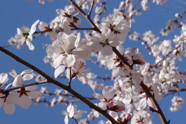 �һ�����16����Ƭ ���ݵ��趼����ʶ�˰�