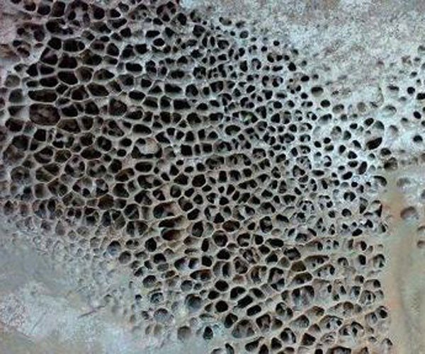 玉米男孩的背 画面感太强令人无法直视