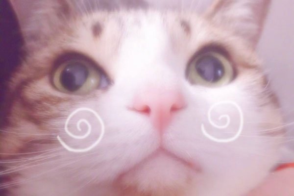 ����������6���ϼ���ʲô �Ա��б�Ա����ëǮ��������