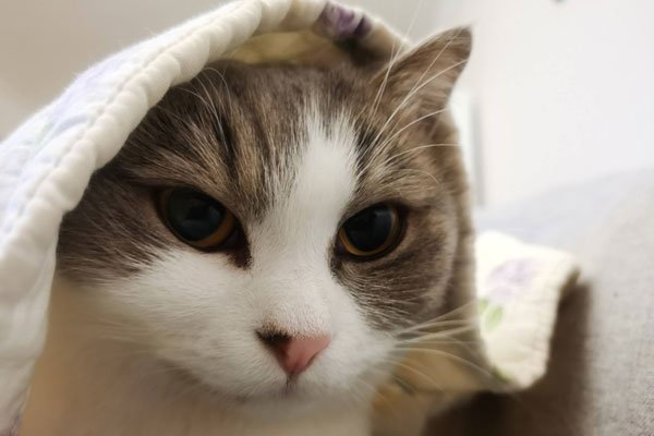 ����������6���ϼ���ʲô �Ա��б�Ա����ëǮ��������