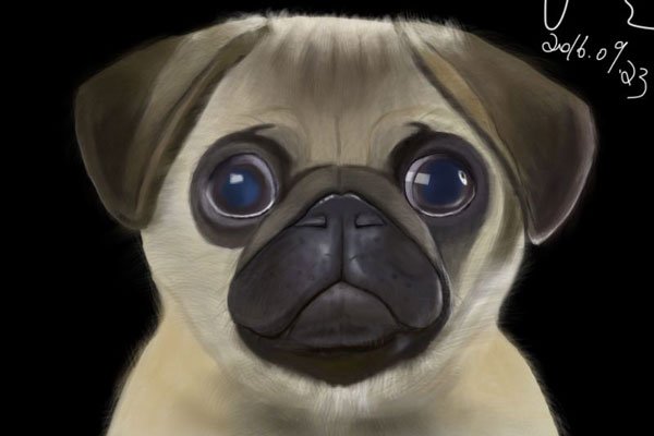 ���ݰ�����ʲôʵ�� ����������˵�����ĵ�����