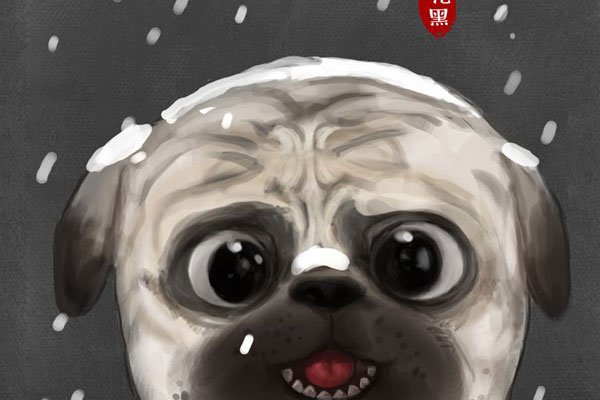 ���ݰ�����ʲôʵ�� ����������˵�����ĵ�����