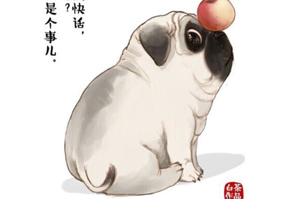 ���ݰ�����ʲôʵ�� ����������˵�����ĵ�����