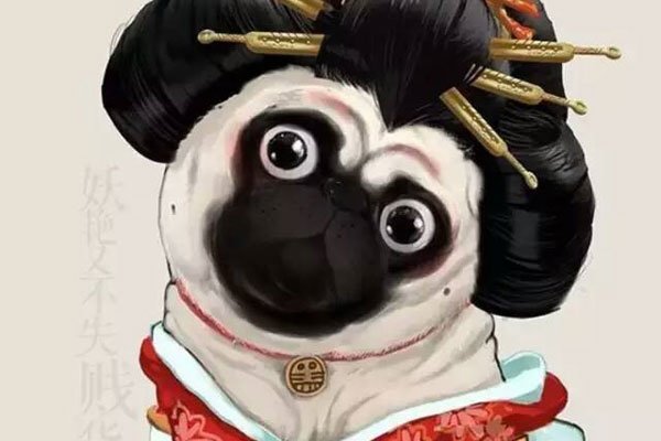 ���ݰ�����ʲôʵ�� ����������˵�����ĵ�����