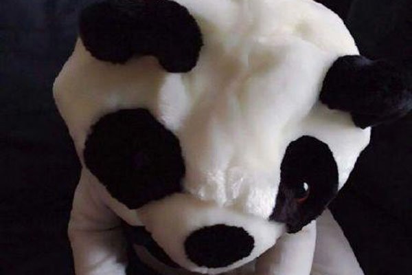 小糯米是杨幂养的小鬼? 活蹦乱笑的小朋友绝不是小鬼