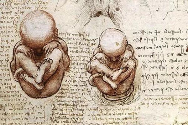 ����ͯ��ʲô ��ž���һ��������ʾ