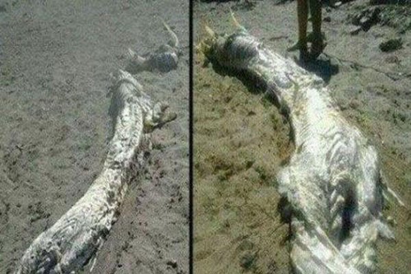 �й����ҹ��������� �񻰴�˵������ʵ�о��޿��ܳ���
