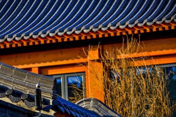 ���ĵϱ����ĺ�ԺͼƬ ���Źʹ����ݻ��ĺ�Ժ