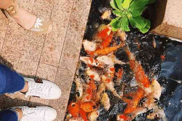 ���ĵϱ����ĺ�ԺͼƬ ���Źʹ����ݻ��ĺ�Ժ