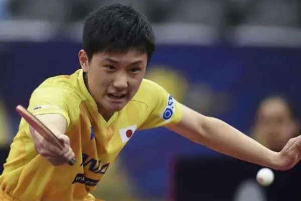 �ű��Ǻ����Ĺ��� Ӯ�����������������