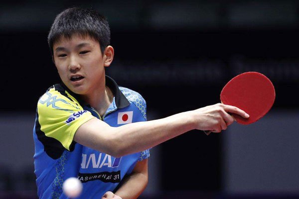 �ű��Ǻ����Ĺ��� Ӯ�����������������