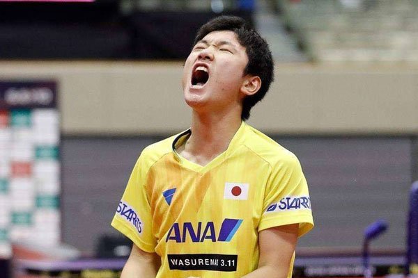 �ű��Ǻ����Ĺ��� Ӯ�����������������