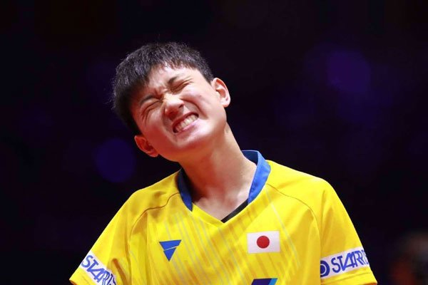 �ű��Ǻ����Ĺ��� Ӯ�����������������