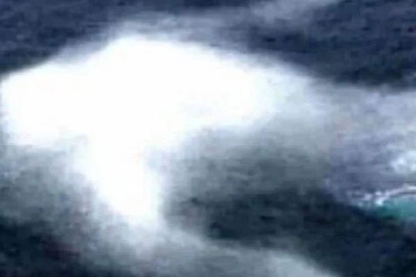 �����ѱ���ѧ��֤ʵ ��ʹ����ʲô��ʽ����δ��֮����