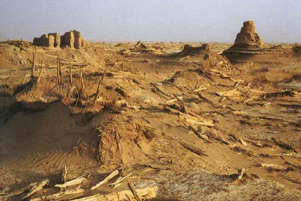 ¥����ַΪʲô����ȥ ããɳĮǱ������Σ��