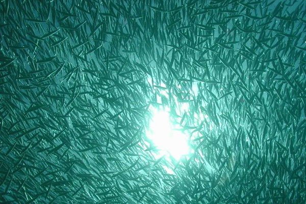 �عⷵ��һ�������� ��ǰ��Ӧ������ƻ���ʲô�ı�