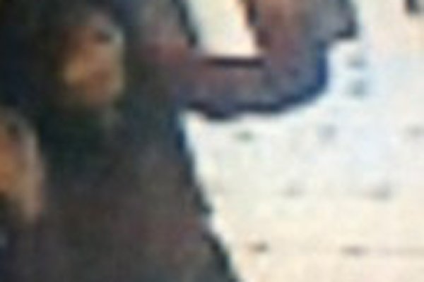 ���ɶ������¼�����������ô���� ����ʧ��֮��