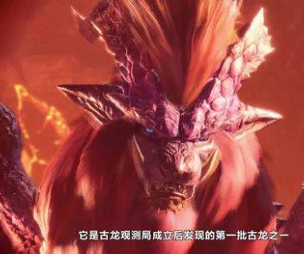 ��˹��������֯��ʲô ������֯�Ƿ���ʵ����