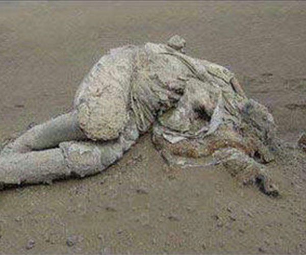 �޲���֮��������˭ ��������������