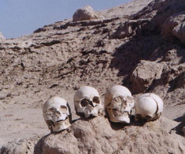 �޲���֮��������˭ ��������������