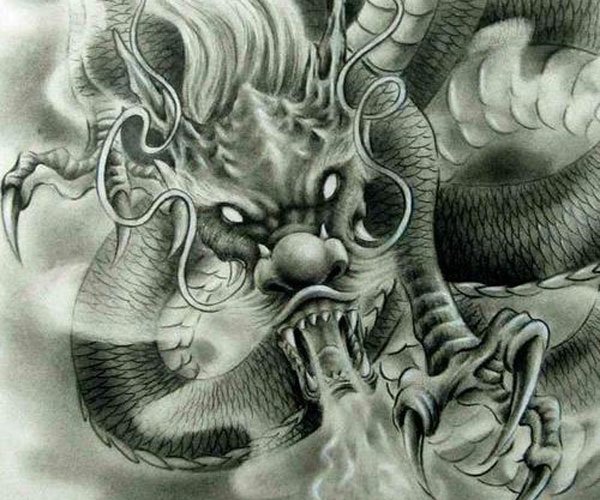 ����Ϊʲô���������� ������Զ�޷�ͻ������ì��