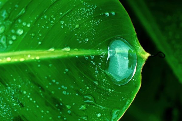 ˮ�γ�����ļٵĿɿ��� ˮ�γ��Ǯ�ܵ�����������