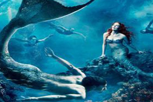 �����˴����� 1962���������Ƭ�ǲ������ͼƬ