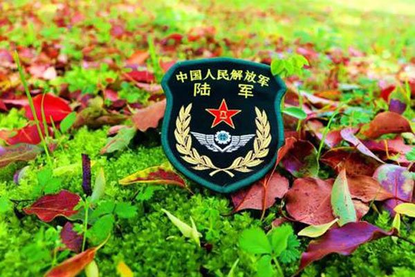 步兵片排行榜(bǎng) 蓝盔(kuī)特战队一定别错过