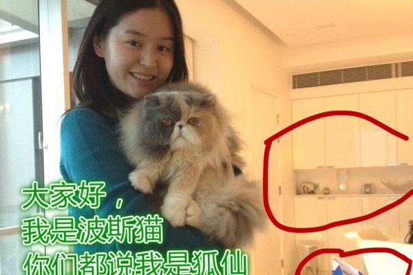 ��ѩ���������� �����¼������˳�����Ȧ��