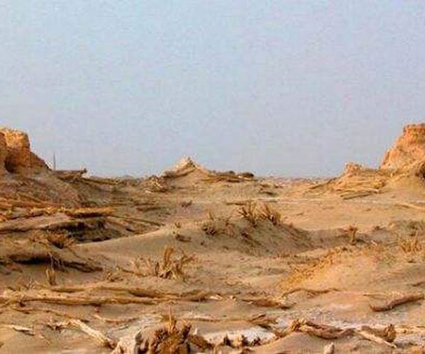 �޲����������� ��������Զ��Ҫȥ