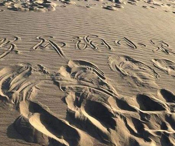 �޲����������� ��������Զ��Ҫȥ