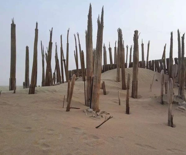 �޲����������� ��������Զ��Ҫȥ