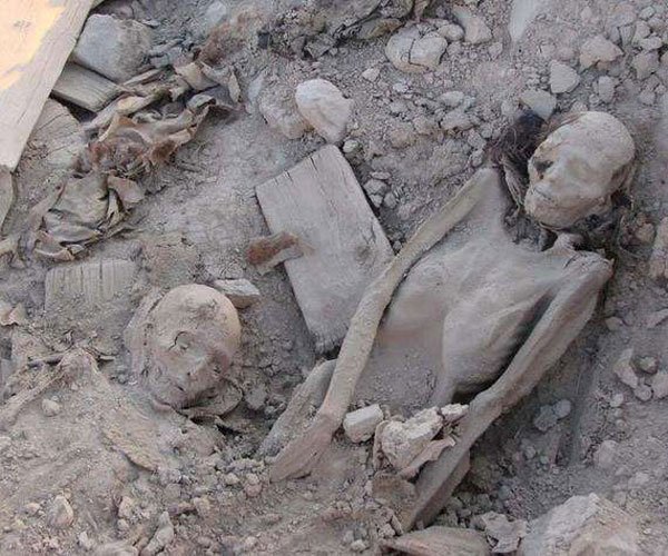 �޲����������� ��������Զ��Ҫȥ