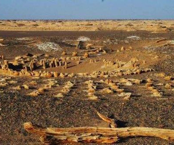 �޲����������� ��������Զ��Ҫȥ