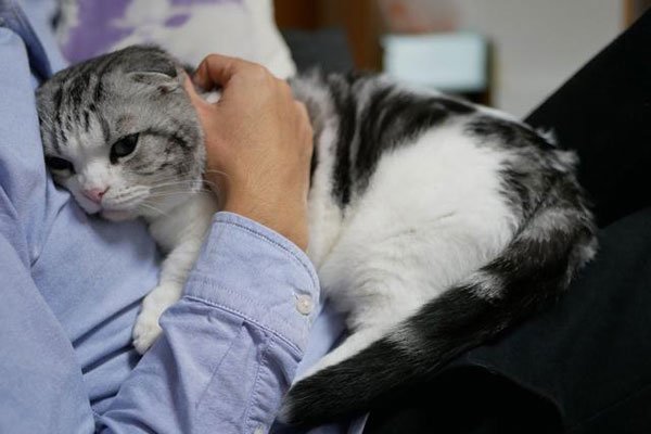 һ��������������è ����֮��ᷢ��ʲô���ɿص�����