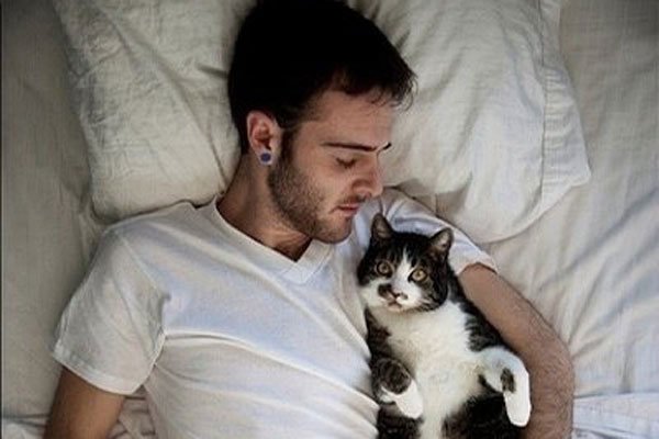 һ��������������è ����֮��ᷢ��ʲô���ɿص�����