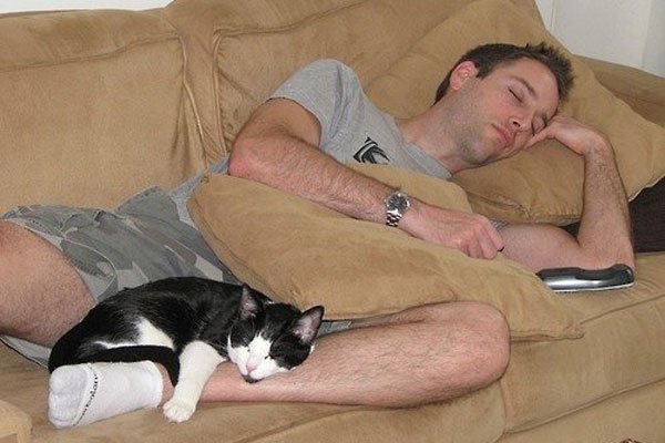 һ��������������è ����֮��ᷢ��ʲô���ɿص�����