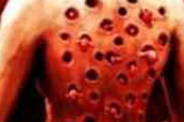 �����к��¼���ʲô�� �������������������