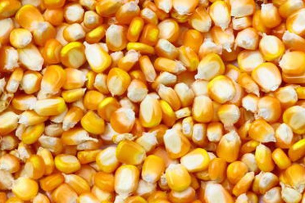 �����к��¼���ʲô�� �������������������