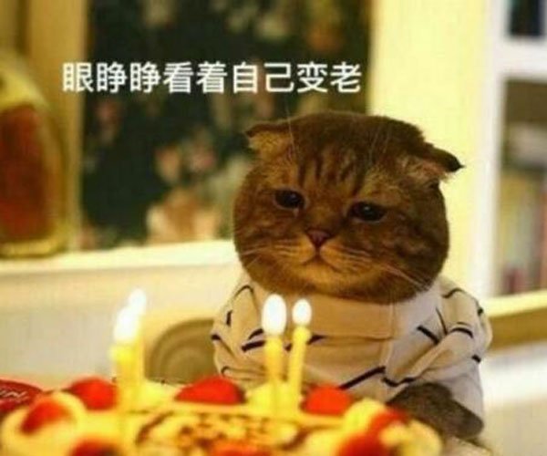 ���շ�����Ȧ����д�� ȡ��������ﵽ��Ŀ����ʲô