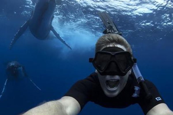 ��־�֢����ͼƬ ����ʹ��Ļ����޷��԰�