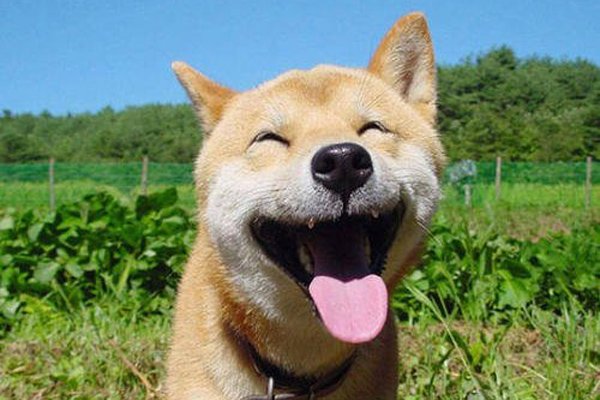 ��湷��ô���� ��ר��ɱ�����ӵ�ҩ