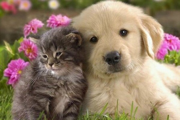 ��湷��ô���� ��ר��ɱ�����ӵ�ҩ