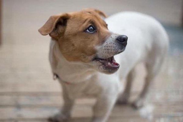 ��湷��ô���� ��ר��ɱ�����ӵ�ҩ