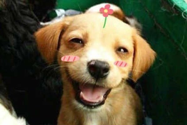 ��湷��ô���� ��ר��ɱ�����ӵ�ҩ