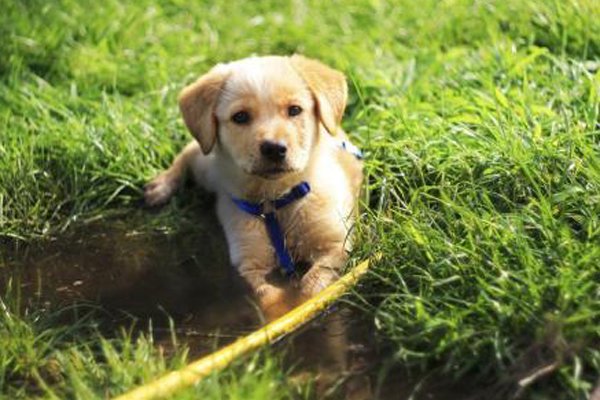 ��湷��ô���� ��ר��ɱ�����ӵ�ҩ