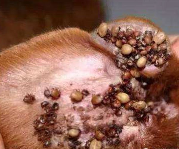 ��湷����ͼƬ ��������������˼��׼����